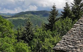 la pause nature